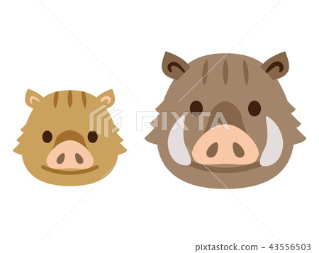 野豬野豬 43556503