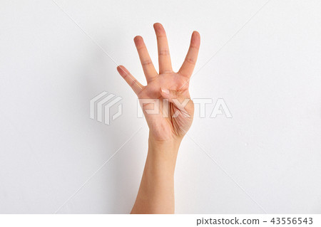 手指照片，剪刀搖滾，弓，第一，第二，第三， 43556543