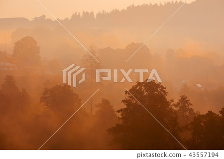 Autumn foggy sunrise landscape Autumn foggy sunrise landscape 43557194