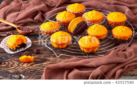 pumpkin muffins on a wooden table pumpkin muffins on a wooden table 43557590