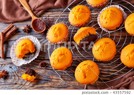 close-up of pumpkin muffins for halloween party close-up of pumpkin muffins for halloween party 43557592