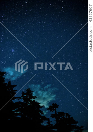 安靜的夜晚 43557607