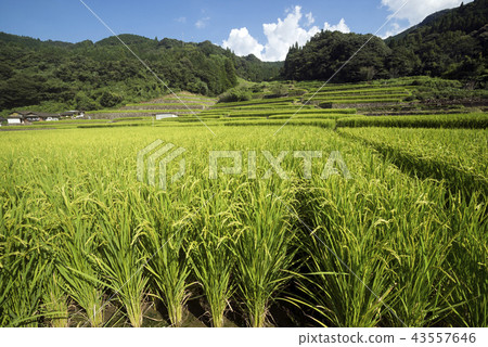 Japan's 100 selections for Tanada and Onoguchi Tanada 43557646