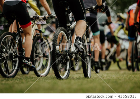 back group of cyclists mountain bikers back group of cyclists mountain bikers 43558013