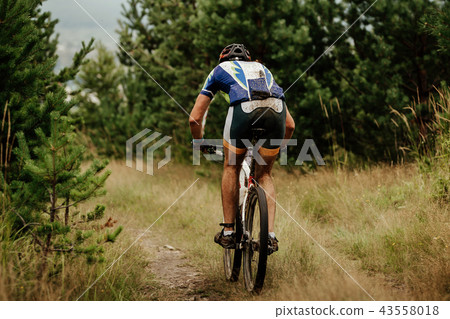 back athlete cyclist back athlete cyclist 43558018