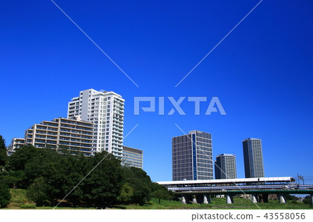 Futako Tamagawa Station and high-rise buildings 43558056