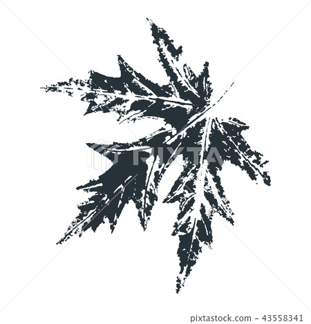 Vector Leaf print. Inkprinted leaves of the trees on paper Vector Leaf print. Inkprinted leaves of the trees on paper 43558341