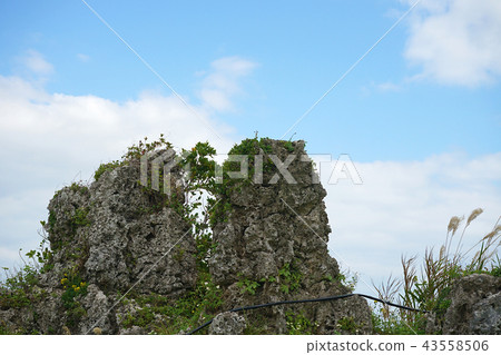 Okinawa Prefecture Urasoe Urasoe Gusuku Urasoe so Okinawa Prefecture Urasoe Urasoe Gusuku Urasoe so 43558506