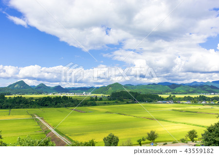 令人耳目一新的山形縣金山町 43559182