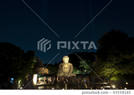 Great Buddha of Kamakura lit up 43559185
