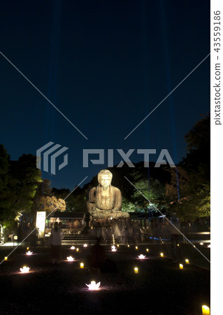 Great Buddha of Kamakura lit up 43559186