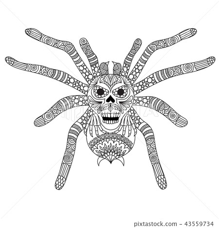 Spider 43559734