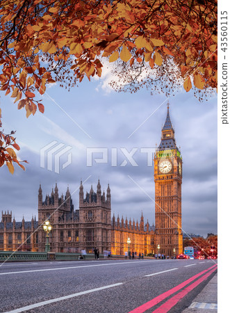 Autumn leaves with Big Ben in London, England, UK 43560115