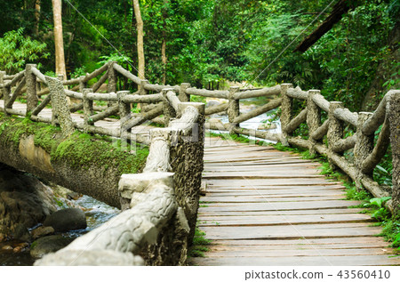 Stone bridge over the river 43560410