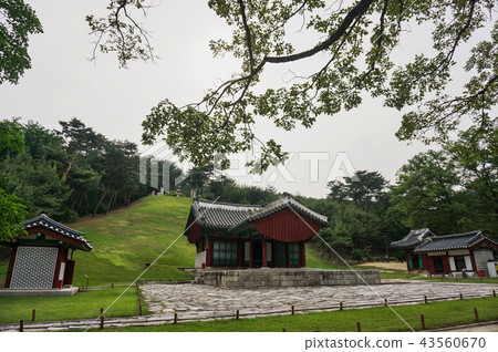 國王墓世界遺產 國王墓世界遺產 43560670