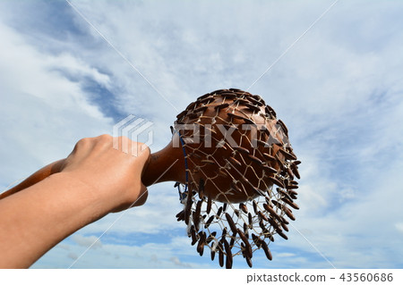 Hand holding ethnic instrument, blue sky background 43560686