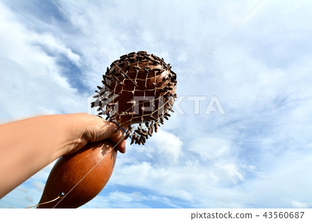 遞拿著種族儀器，藍天背景 43560687