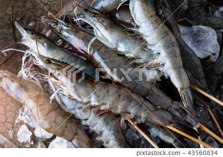Skewer raw shrimps or prawns. 43560834
