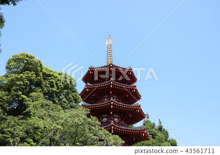 Kawasaki Daigaku octagonal five-storied pagoda Kawasaki Daigaku octagonal five-storied pagoda 43561711