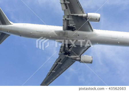 Domestic terminal Air airline Jal ANA JAL ANA cheap airframe fan high air aviation Domestic terminal Air airline Jal ANA JAL ANA cheap airframe fan high air aviation 43562083