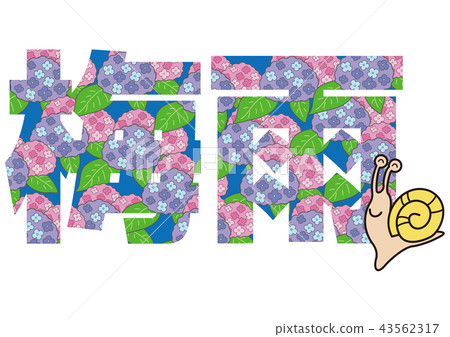 Hydrangea and rainy season typography Hydrangea and rainy season typography 43562317