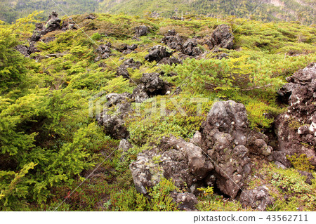 高鬆的熔岩高原(2) 高鬆的熔岩高原(2) 43562711