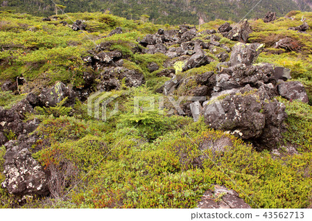 高鬆的熔岩高原（3） 43562713