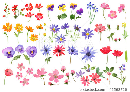 Flower material Flower material 43562726