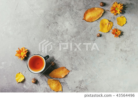 Cup of tea with autumn leaves Cup of tea with autumn leaves 43564496