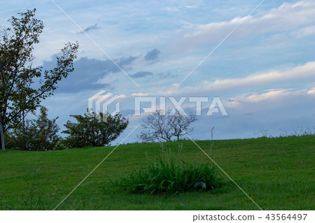 Tomita Fuso Park Tomita Fuso Park 43564497