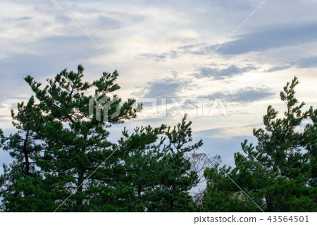 Tomita Fuso Park 43564501