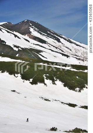 Snow in the snow 43565068