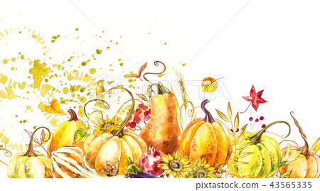 Pumpkins composition. Hand drawn watercolor painting on white background. Watercolor illustration Pumpkins composition. Hand drawn watercolor painting on white background. Watercolor illustration 43565335