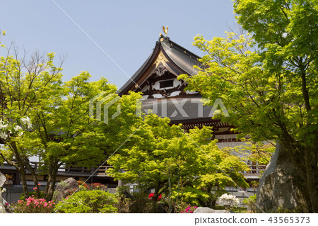 Yuuri kara Fudo-ji寺廟在春天 Yuuri kara Fudo-ji寺廟在春天 43565373