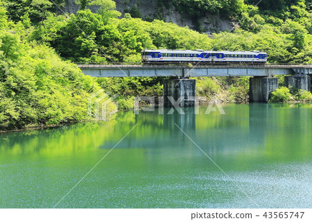 新鮮的綠色Tadami線 43565747