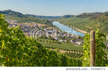 Nittel on the Mosel Germany Europe 43566571
