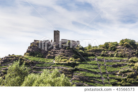 Niederburg Kobern at Moselle Germany Europe 43566573