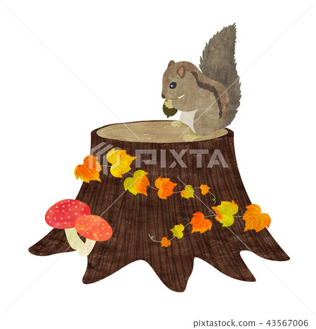 Squirrel and stump 43567006