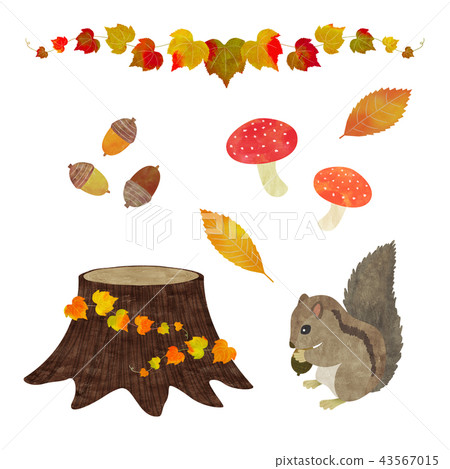 松鼠和秋天的材料設置 松鼠和秋天的材料設置 43567015