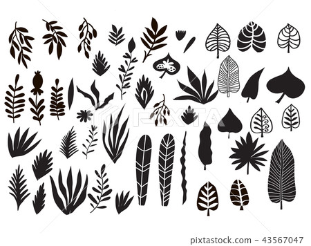 Set of herbs and flowers 43567047