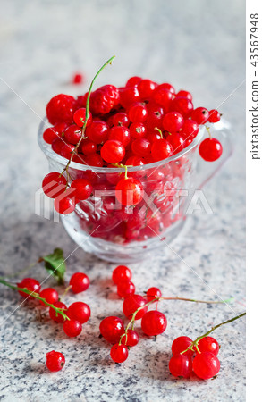 Still life red currant berries in glass mug. Still life red currant berries in glass mug. 43567948