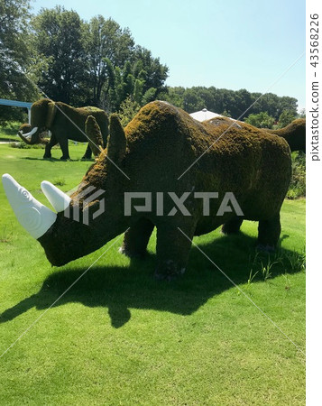 Green rhino 43568226