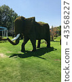 Green elephant 43568227