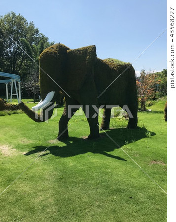 Green elephant 43568227