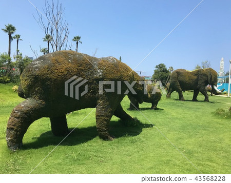 Green animals 43568228