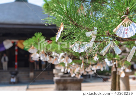 Landscape of Chionji temple grounds Landscape of Chionji temple grounds 43568259