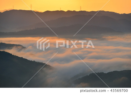 大撫山 大撫山 43569700