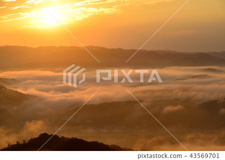 Mt. Mt. 43569701
