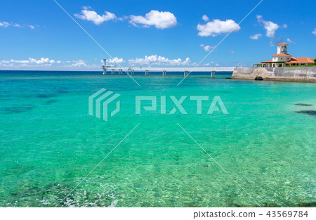Ocean of the Busena Ocean Park in Okinawa Ocean of the Busena Ocean Park in Okinawa 43569784