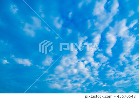 九月的天空(3:2) 九月的天空(3:2) 43570548